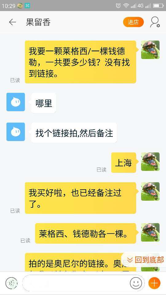 103357e8em5t3dmd4o8dik.png