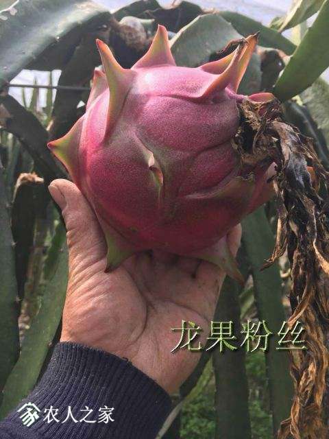 ���۶��ֹ�001.jpg