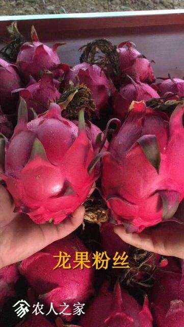 ���۶��ֹ�004.jpg