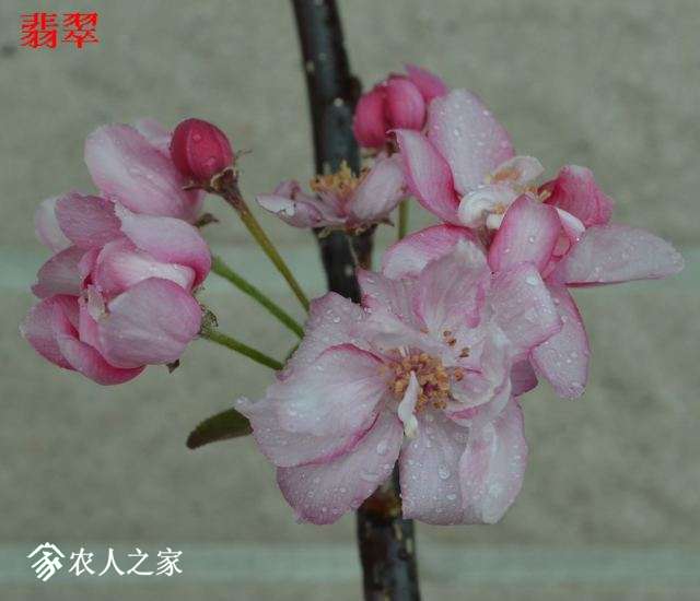 2012-05-29 008.jpg