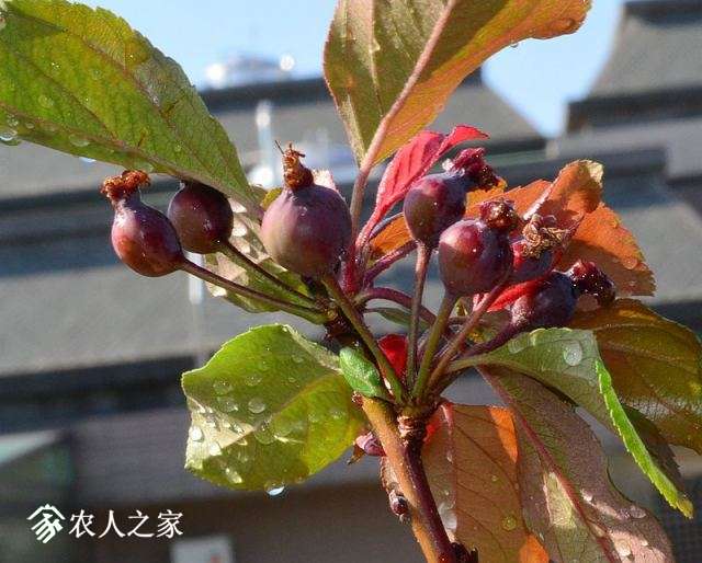 2015-0415 018.jpg