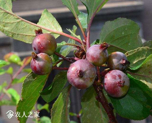 2015-0605 021.jpg