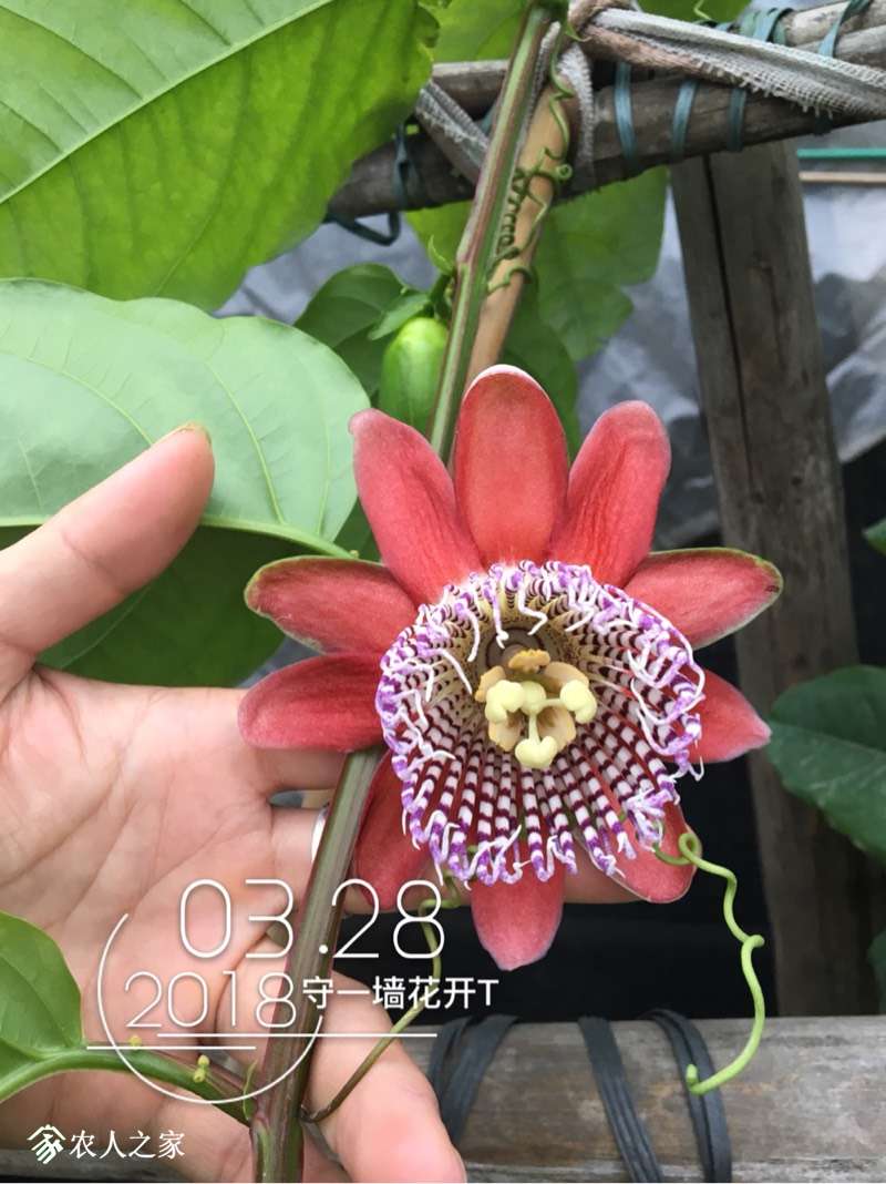 000242hlp4f64opmpujkzy.jpg