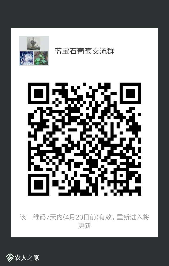 033601y2fk1jrllj955cs2.png