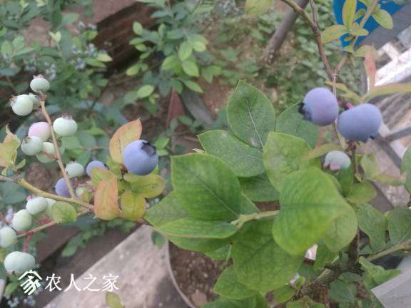 195457t6111i68edfv1f6t.jpg
