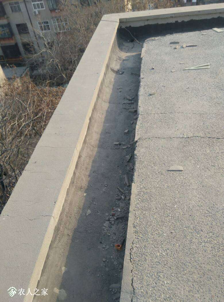 071931kzxjz5lclpolj6ux.jpg
