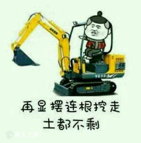 ԰.jpg