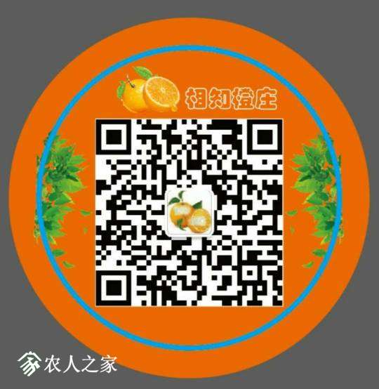 122355zmeof1lm01qqzs4m.jpg