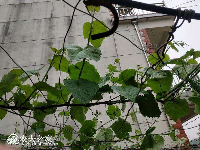 QQͼƬ20180416150137.jpg