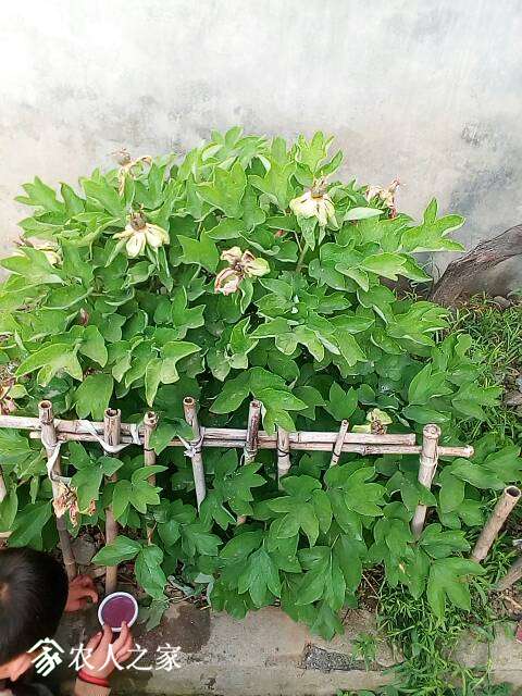 071302pspgqqmglmgpmomj.jpg