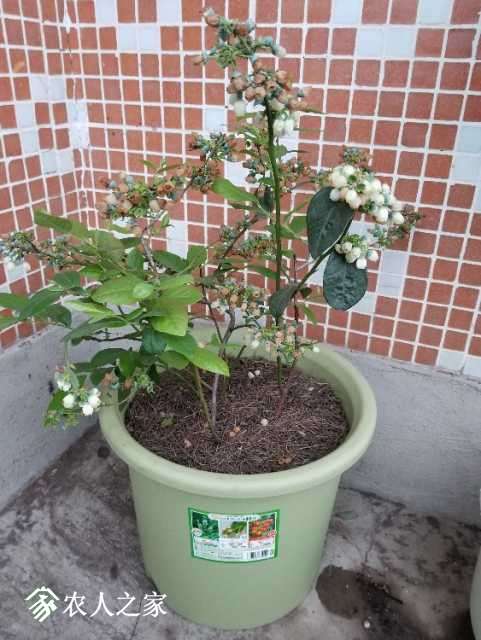 20180412_180847.jpg
