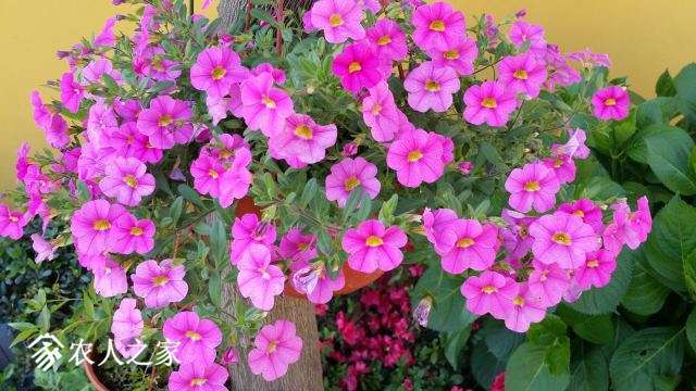 20180409_141350.jpg