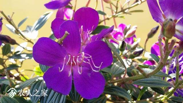 20180409_141433.jpg