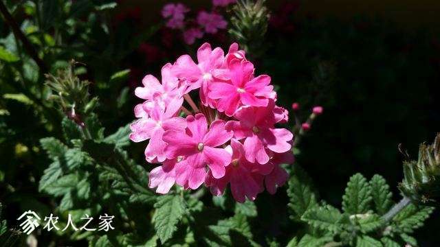 20180409_141458.jpg