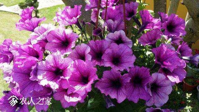 20180409_141513.jpg