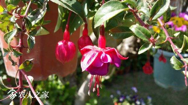 20180409_141601.jpg