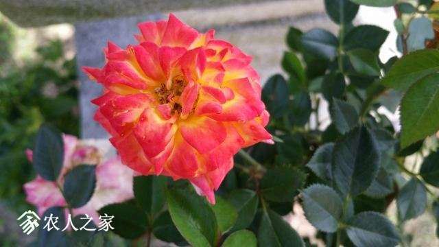 20180409_141706.jpg