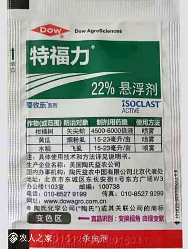 070655ab5qaq1qo9foqfa9.jpg