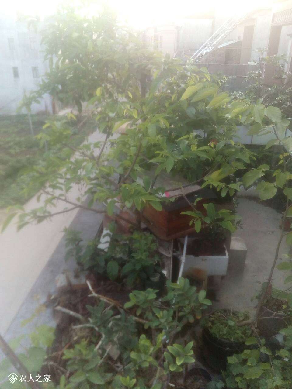 205153vq7w7y460ydgcg64.jpg