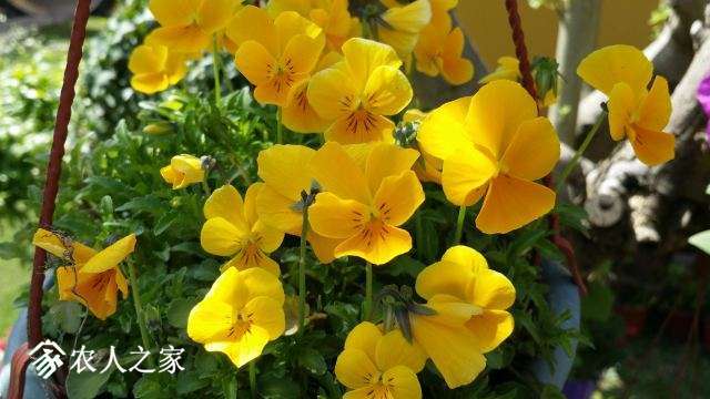 20180409_141609.jpg