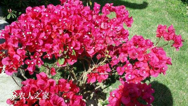 20180409_141726.jpg