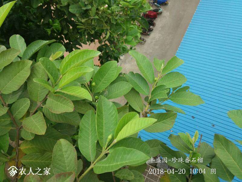 103303nwpqgcjcgca3anuq.jpg