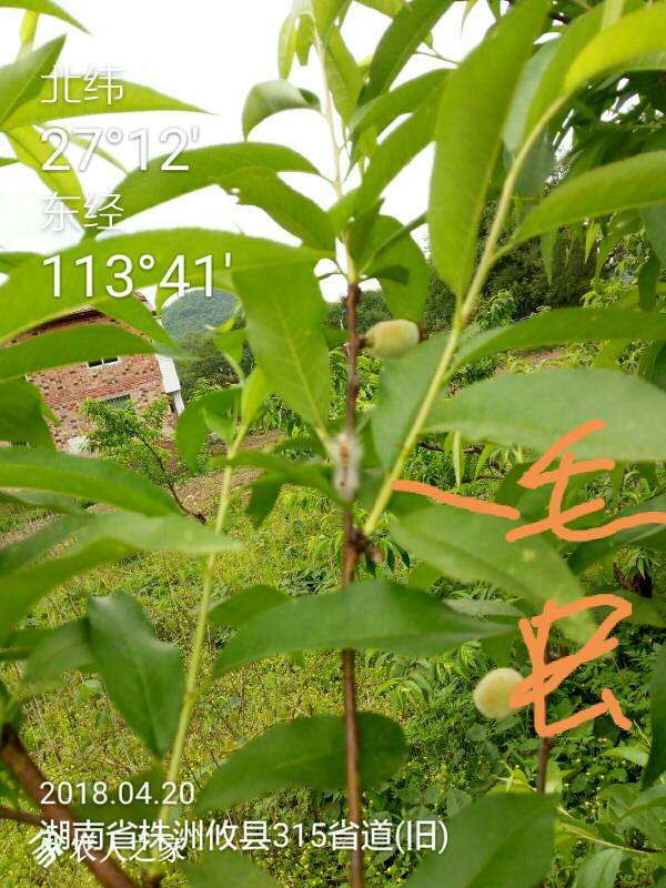 214351vbi8teec6b6lneli.jpg