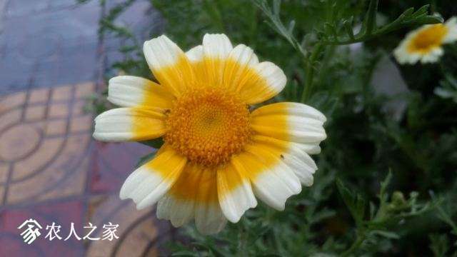 20180414_162928.jpg