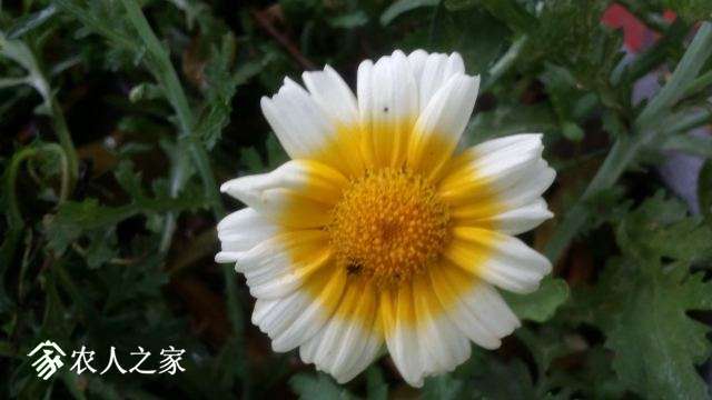 20180414_162949.jpg