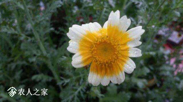20180414_163155.jpg
