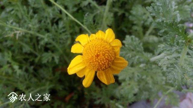 20180414_163435.jpg