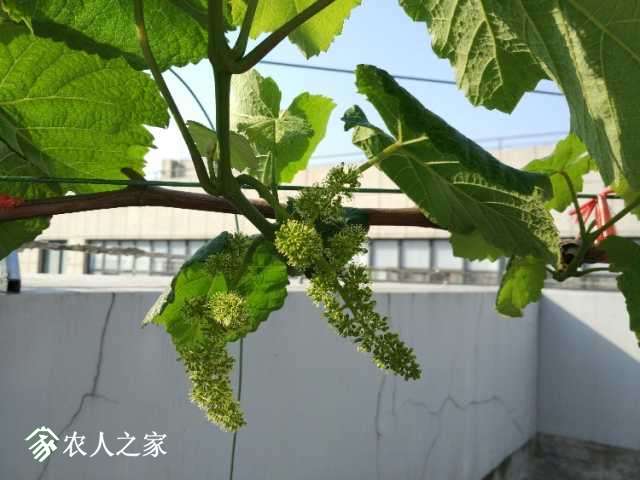 IMG_20180420_081637.jpg