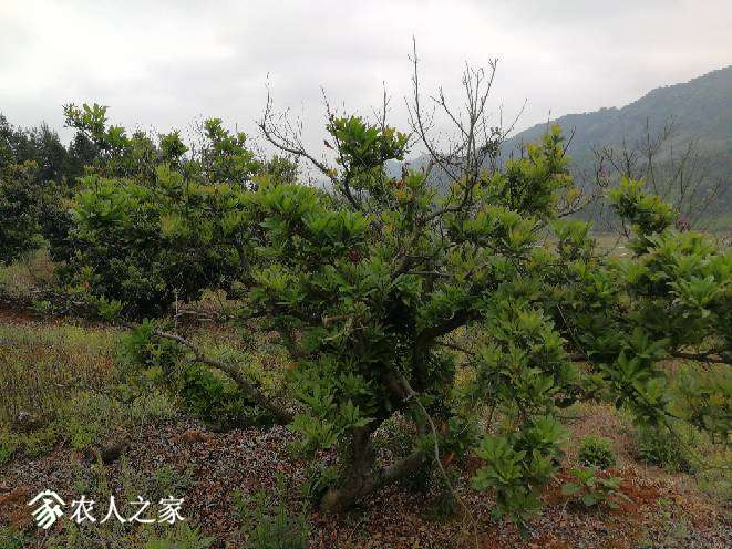 170052kcz6l7xmgiycvh6p.jpg