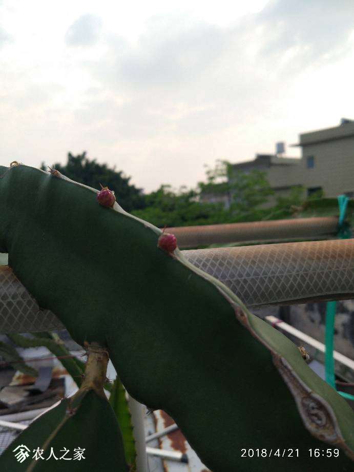 170630fyxfjhlnwp4qjq4j.jpg