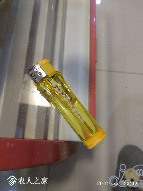 224010nnkaa855zqhoaoaj.jpg