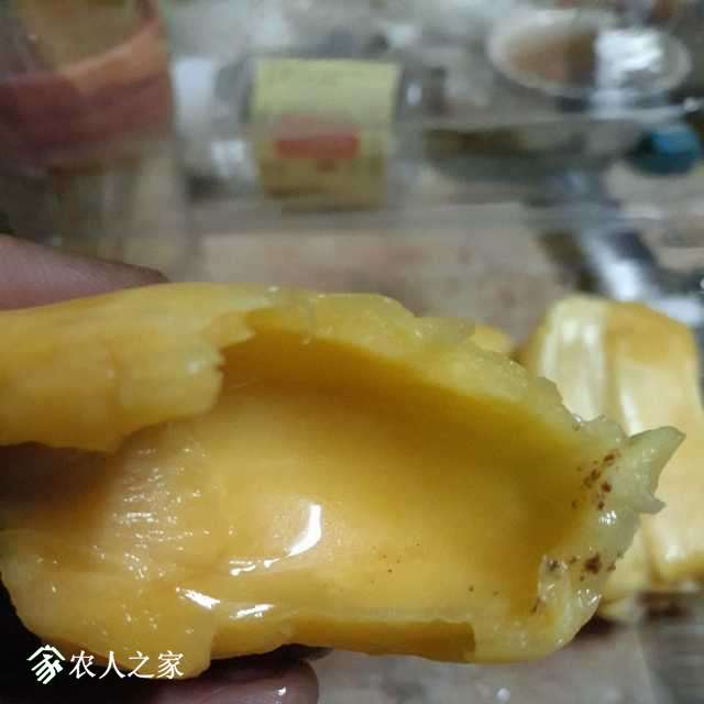 P80422-011234.jpg