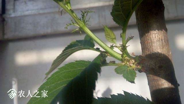 ҶҸ��Ķ���