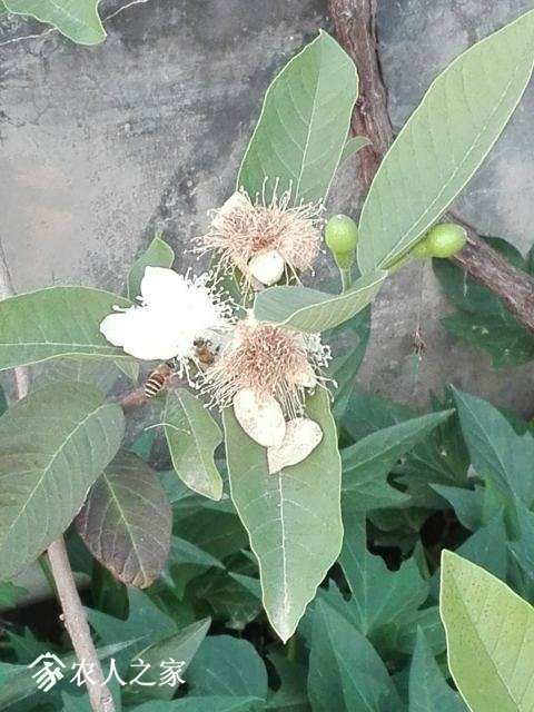 ΢��ͼƬ_20180423094205.jpg