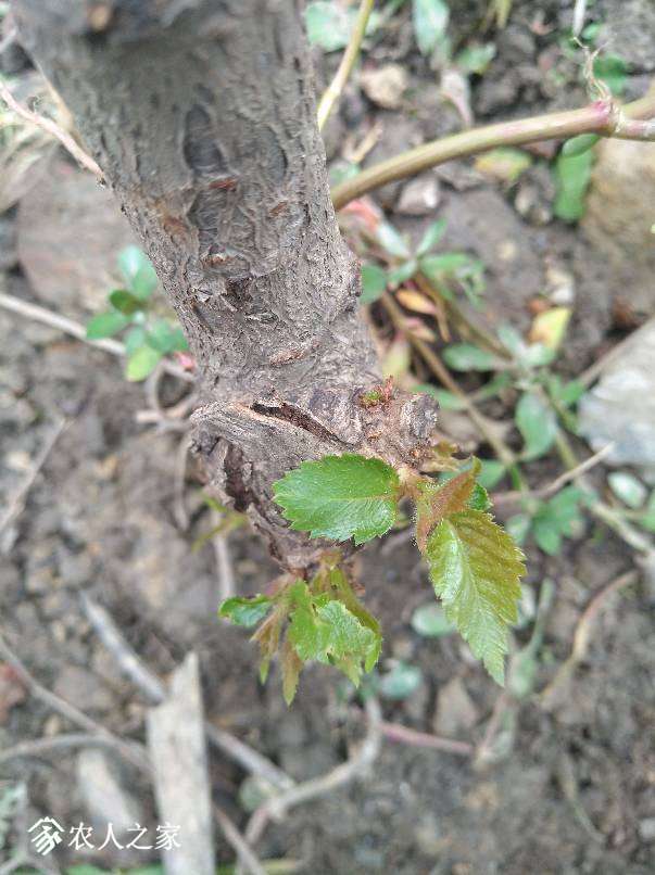 113017b5ua5fmnmr5mznrd.jpg