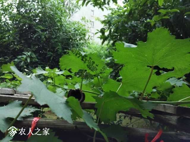IMG_20180423_172630.jpg