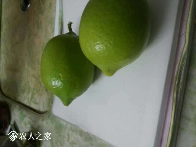 UC_Photo_002.jpg
