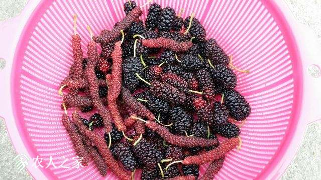 20180423_153537_resized.jpg