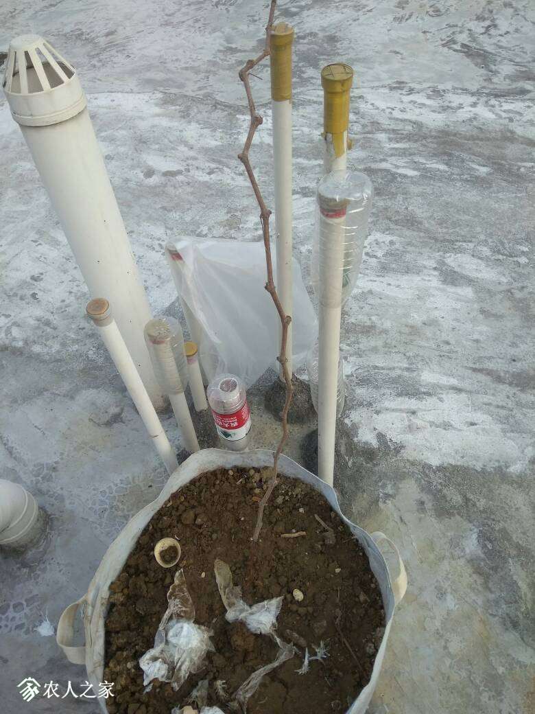 154623zlqqfykwcztzgrek.jpg