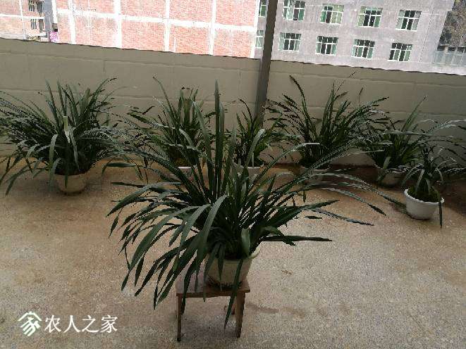 160051mp9d79e9deux7ejh.jpg