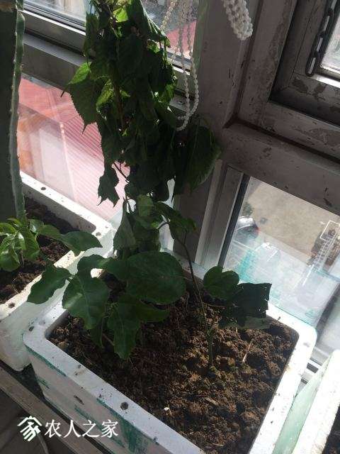΢ͼƬ_20180424161213.jpg