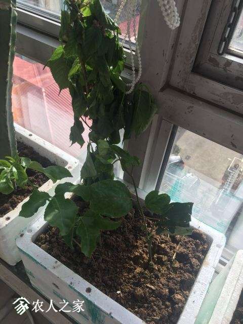 ΢ͼƬ_20180424161218.jpg