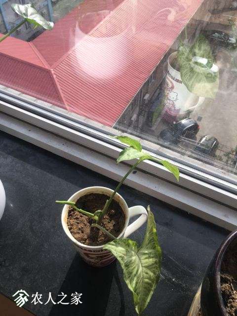 ΢ͼƬ_20180424161228.jpg
