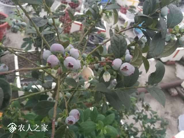 IMG_20180424_182444.jpg
