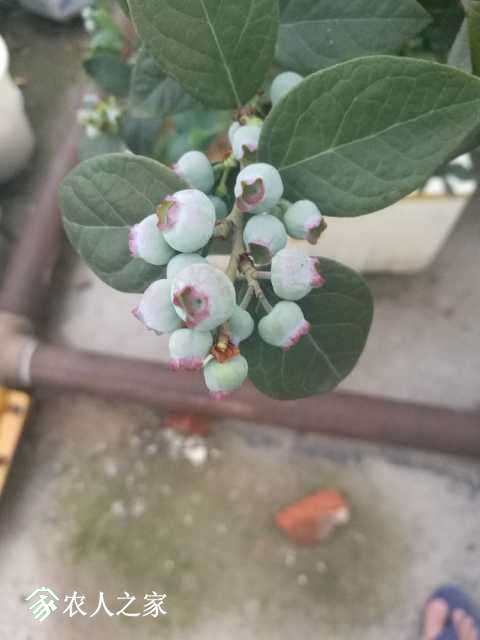 IMG_20180424_182452.jpg