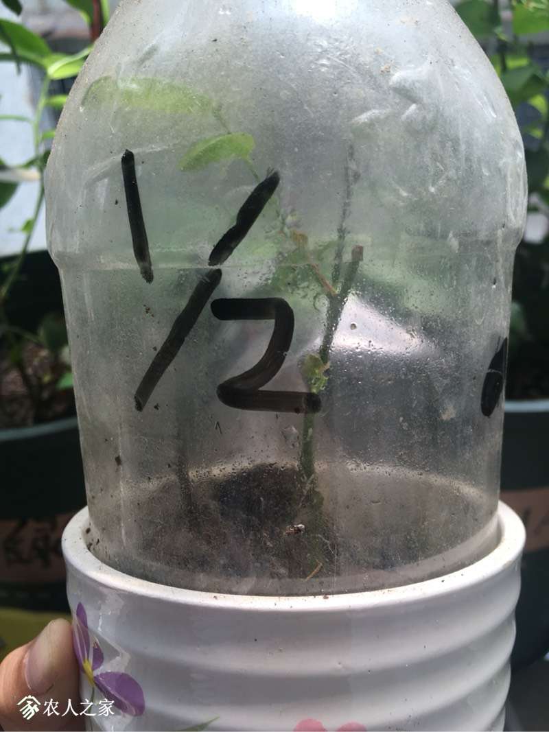 202411bu8waogyxba60w4m.jpg